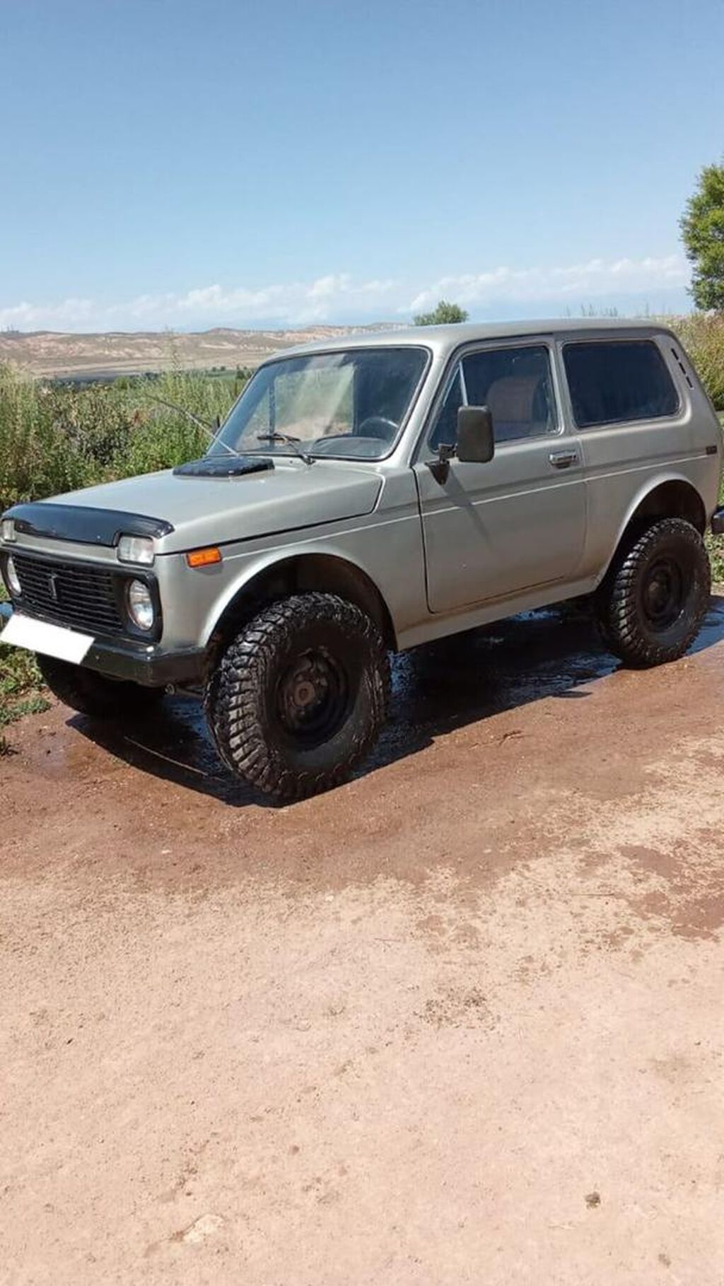 ВАЗ (ЛАДА) 4x4 Нива: 1981 г., Механика, Внедорожник: фото 5