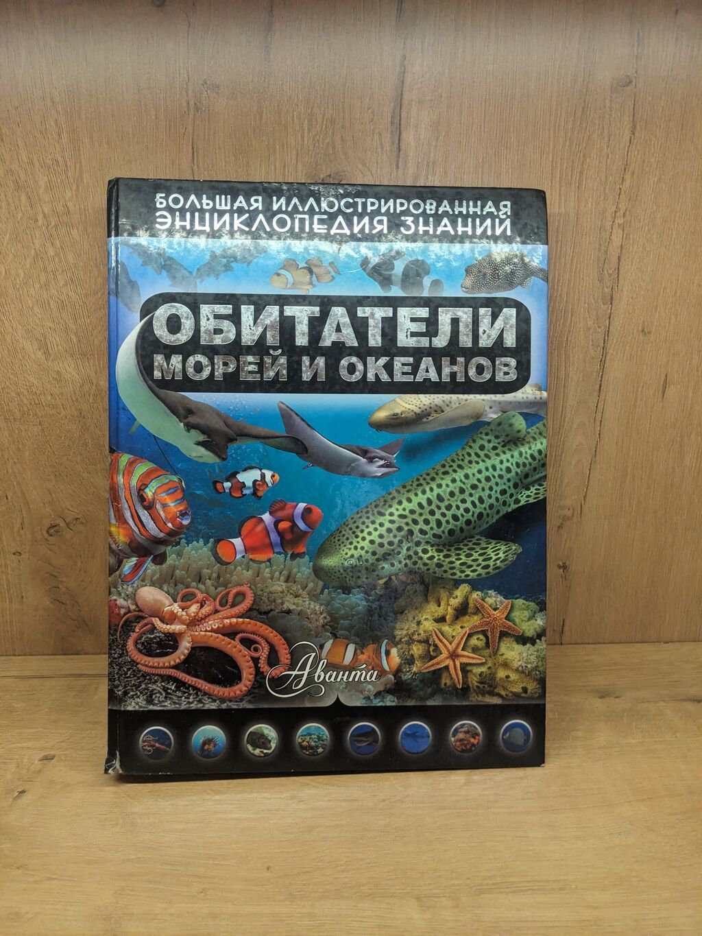 Набор из 4 детских и познавательных книг. 1) Большая иллюстрированная — фото 1