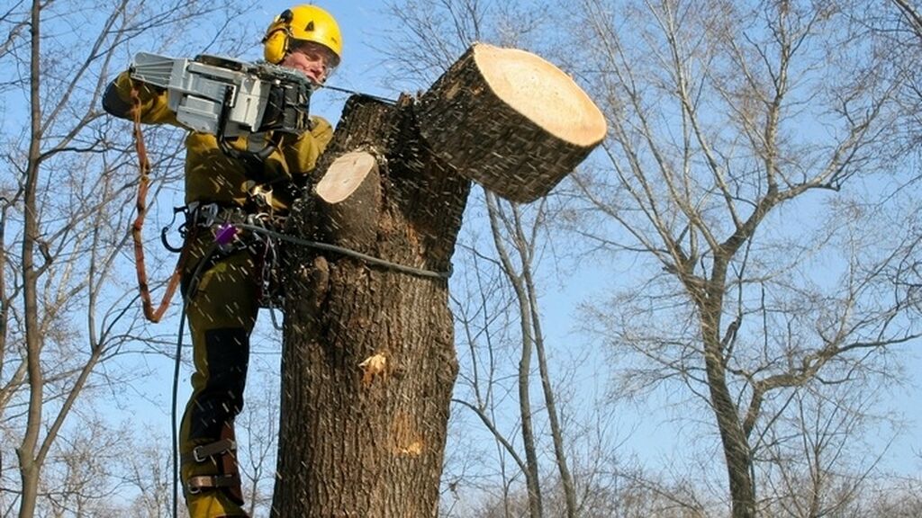 Как пилить дрова на два, рациональная пилка дров в тайге