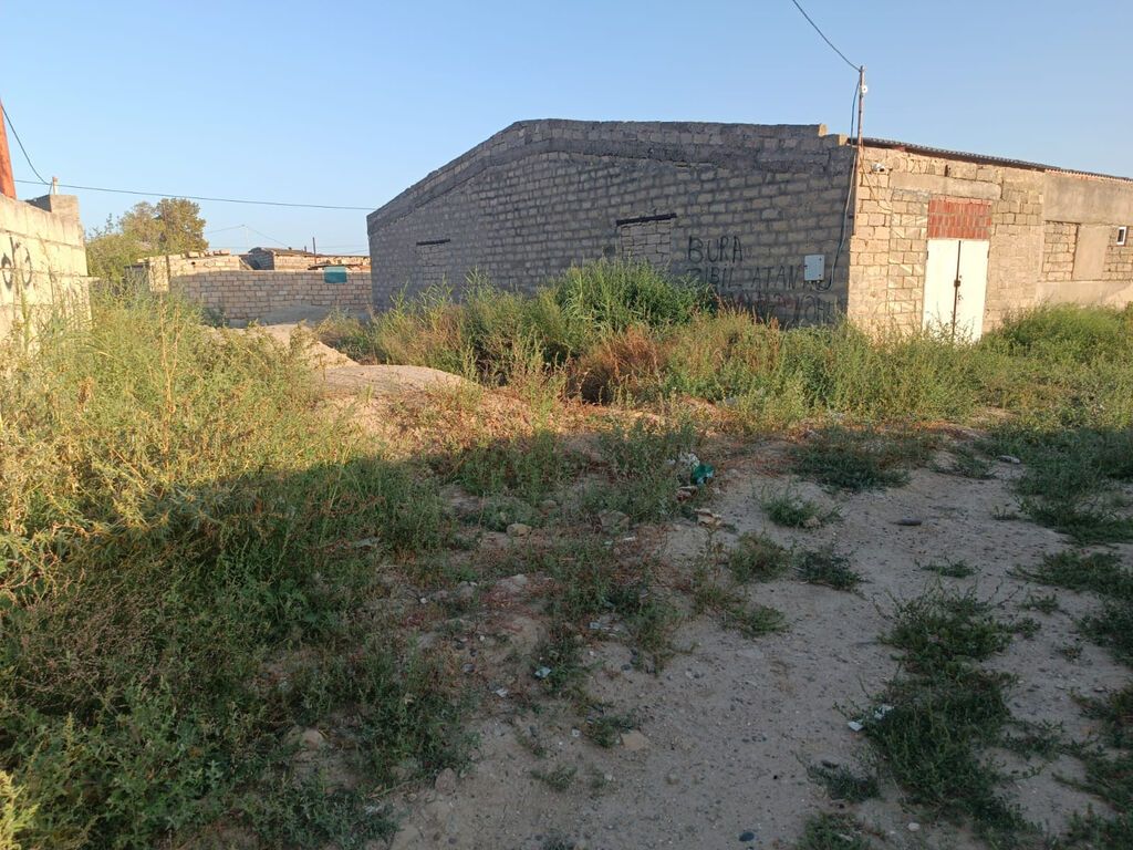 Kənd təsərrüfatı, Barter mümkündür, Kupça (Çıxarış)