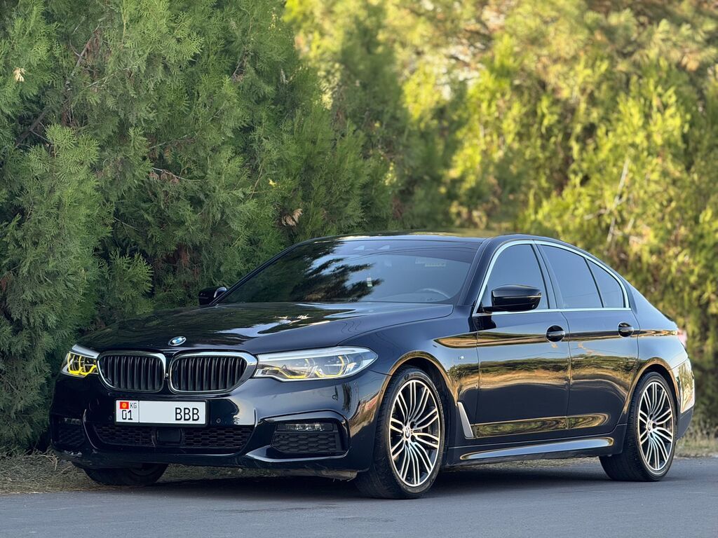 BMW 5 series: 2019 г., 2 л, Автомат, Бензин, Седан: фото 5