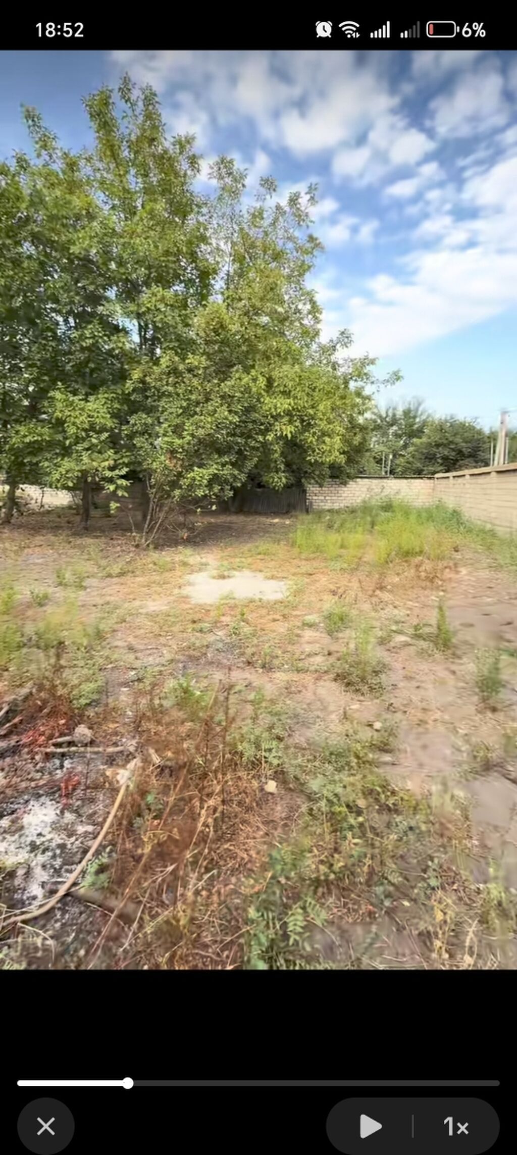10 sot, Tikinti, Barter mümkündür, Kupça (Çıxarış)