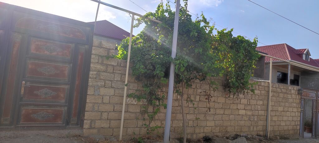 2 sot, Tikinti, Mülkiyyətçi, Kupça (Çıxarış)