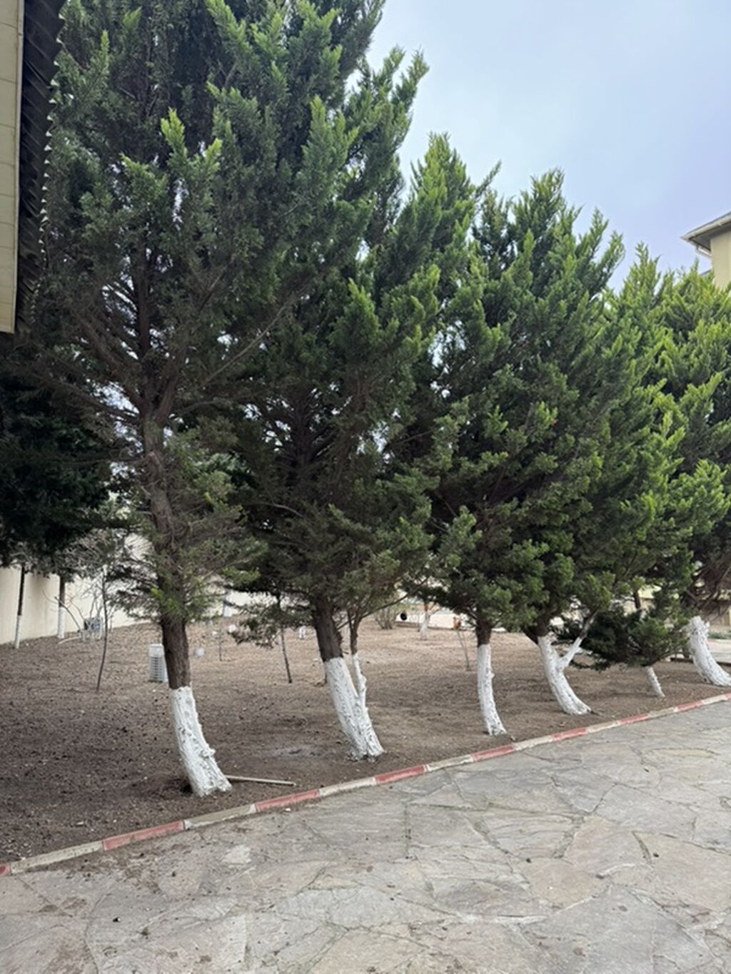 Bakı, Novxanı, 300 kv. m, 5 otaqlı, Hovuzlu, Qaz, İnternet, Kombi