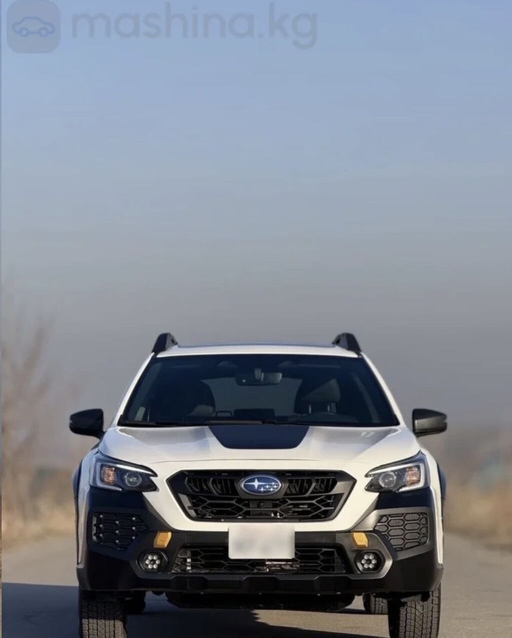Subaru Outback: 2024 г., 2.4 л, Вариатор, Бензин, Универсал: фото 5