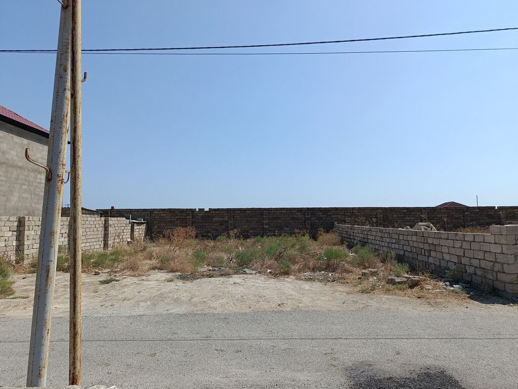 Tikinti