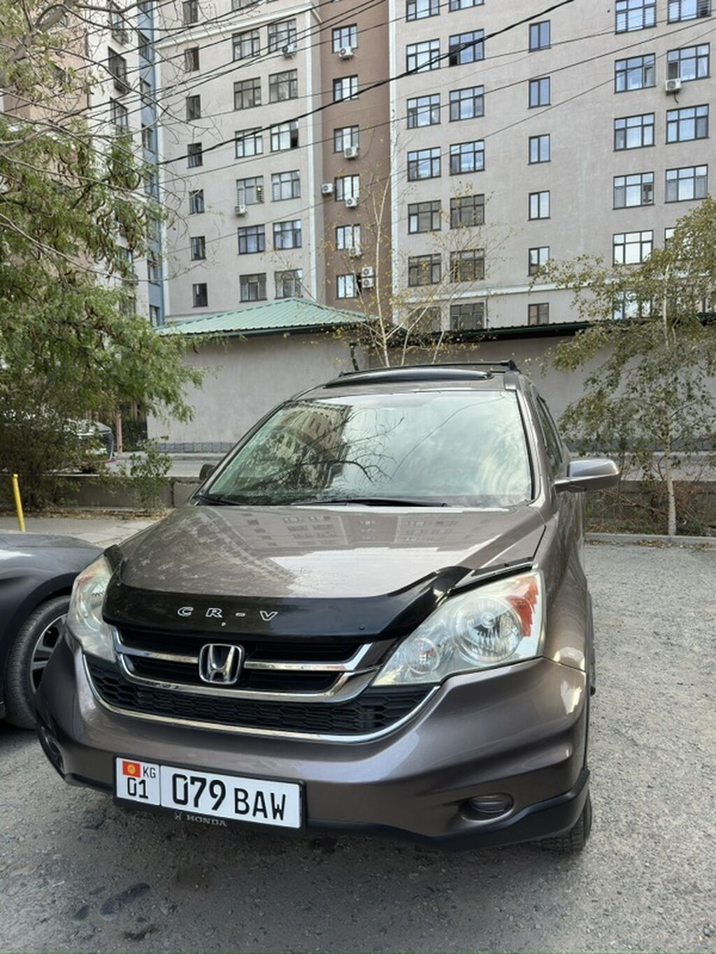 Honda CR-V: 2010 г., 2.4 л, Автомат, Газ, Кроссовер: фото 1