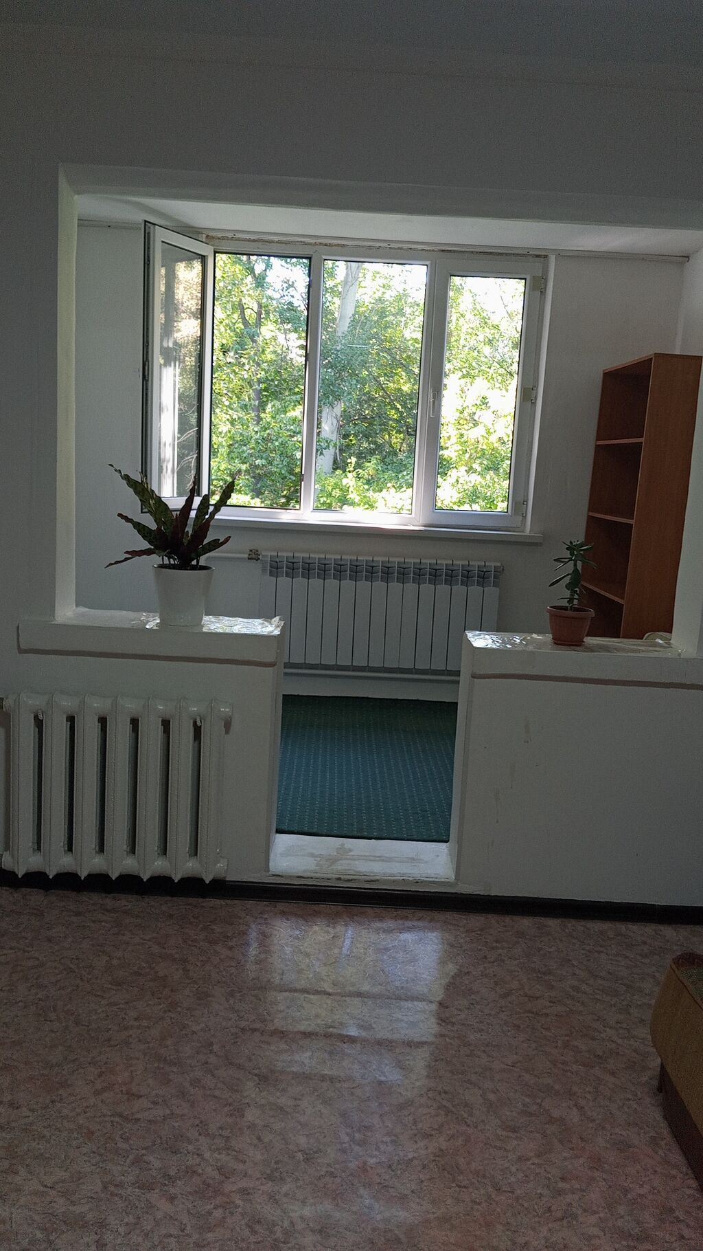 Светлая однокомнатная квартира с изолированной кухней и большой: фото 1