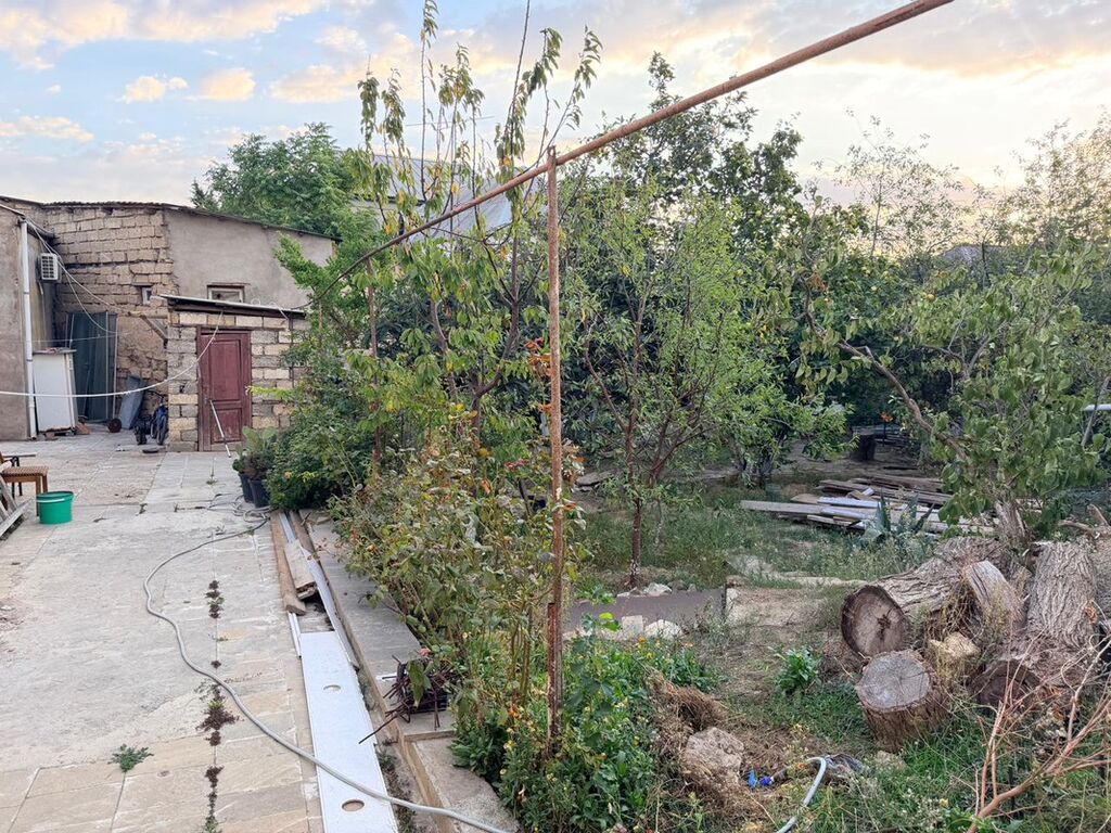 6 sot, Biznes üçün, Mülkiyyətçi, Kupça (Çıxarış)