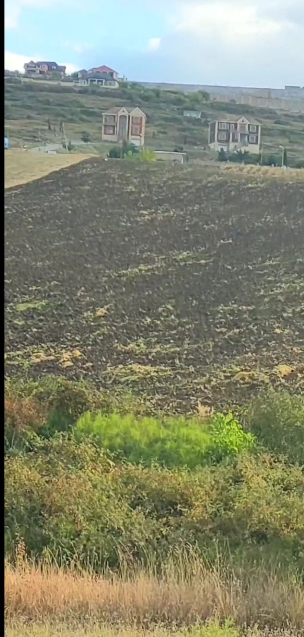1100 sot, Tikinti, Maklerlər narahat etməsin, Kupça (Çıxarış)