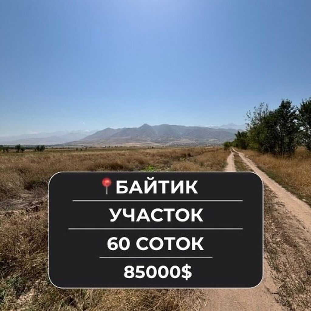 60 соток, Для бизнеса: фото 1