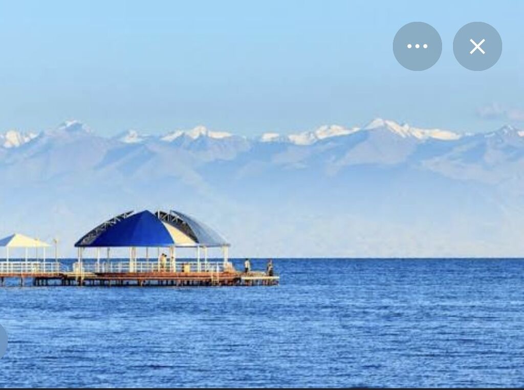 Беседка Дерево