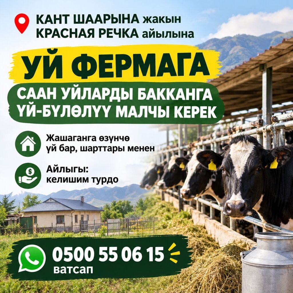 Требуется скотник-дояр на ферму в Красной Речке