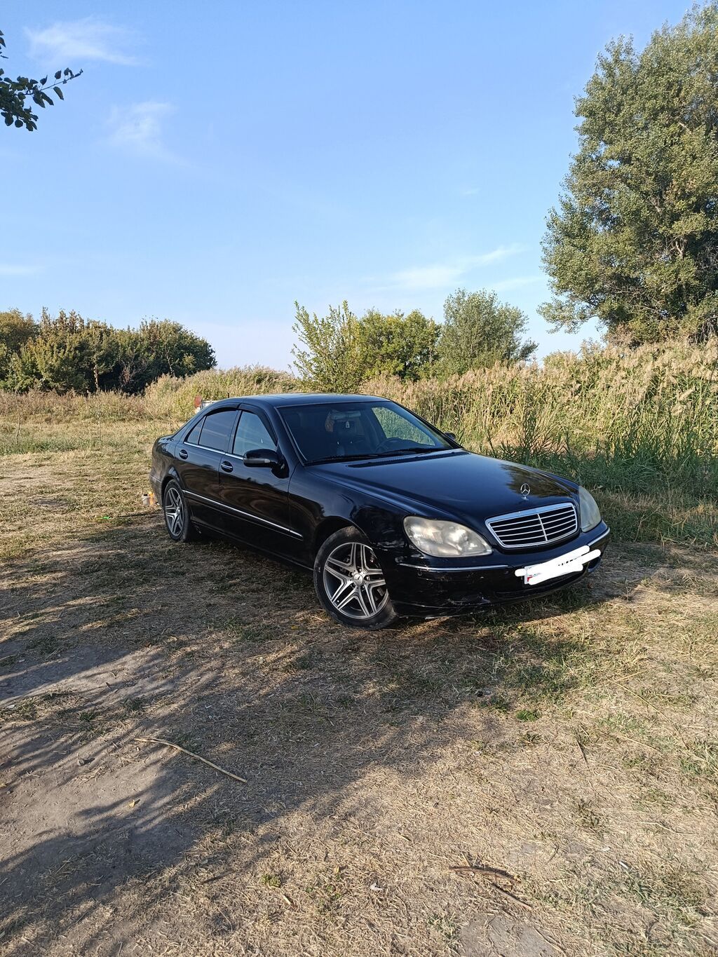 Mercedes-Benz S-Class: 2000 г., Автомат, Газ, Седан: фото 5