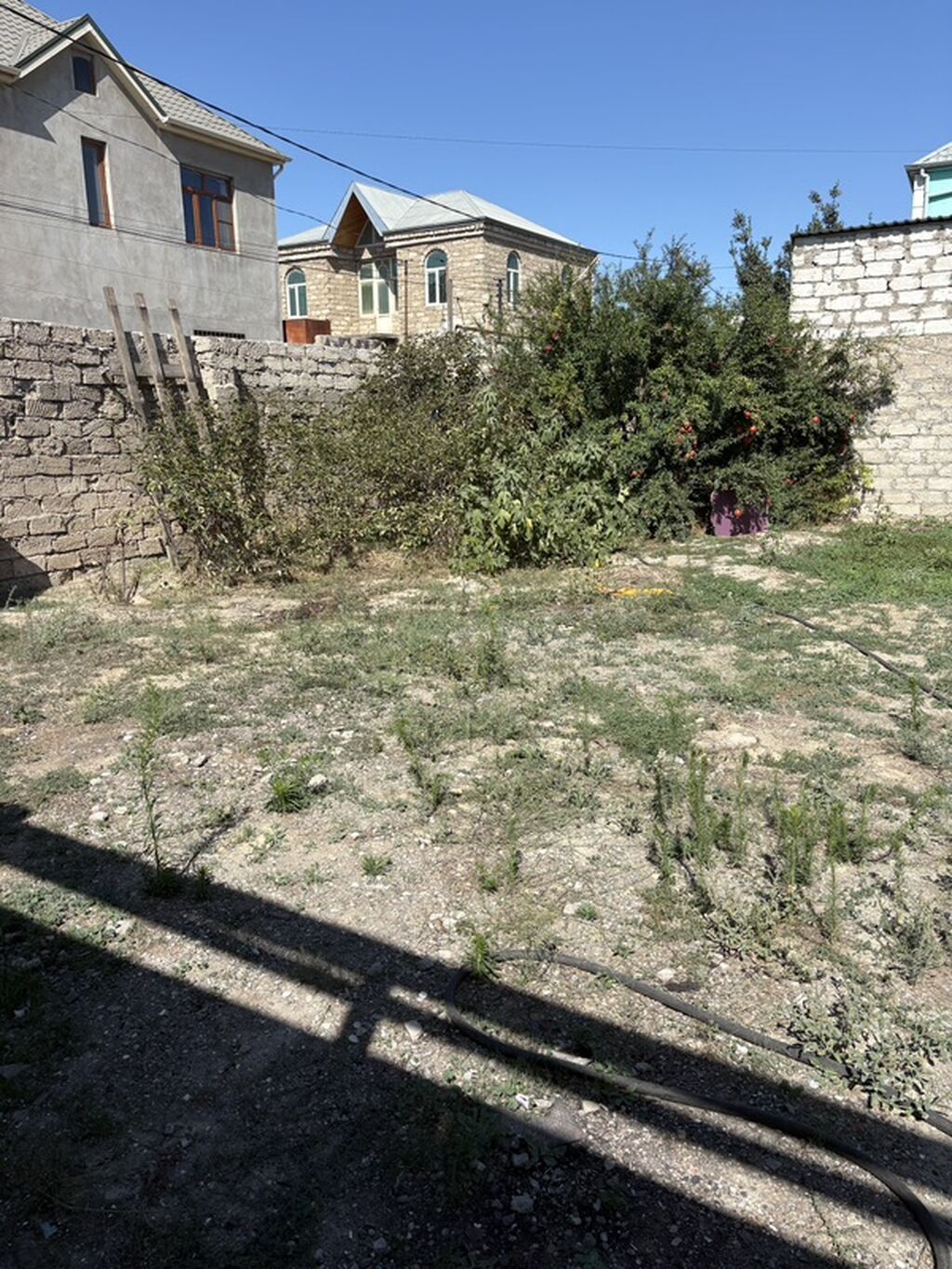 Tikinti