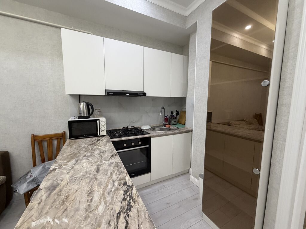 2 комнаты, 52 м², Дворец спорта Элитка, 7 этаж, Евроремонт: фото 5