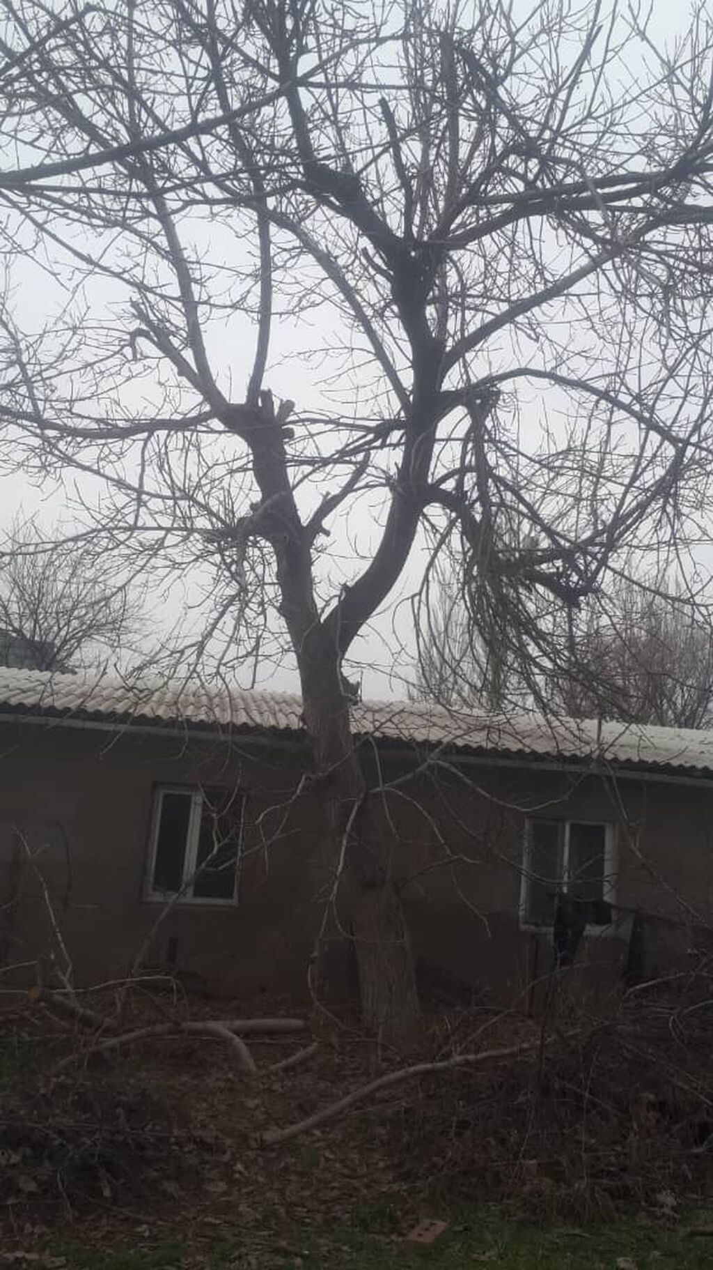 Спилим Дерево заготовим дрова Цена договорная. звонить в любое: фото 6