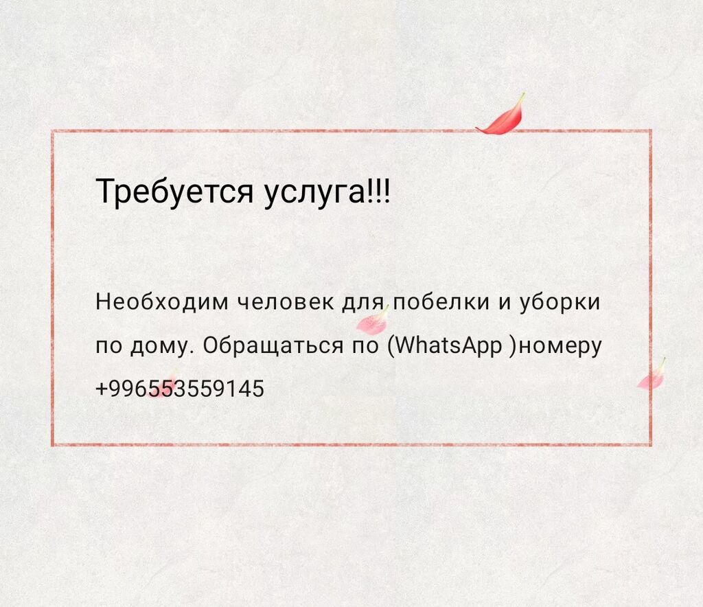 Необходим человек для побелки и уборки: Договорная ᐈ Уборка помещений |  Токмок | 93733735 ➤ lalafo.kg