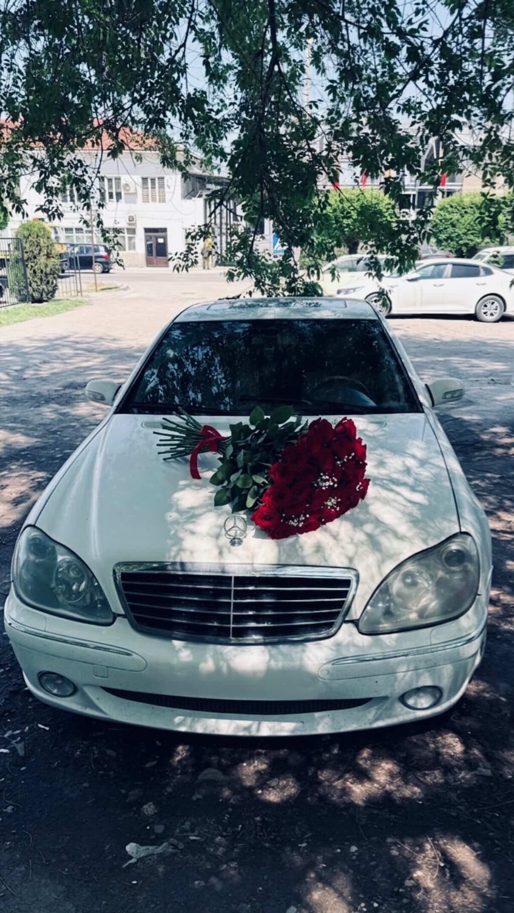 Mercedes-Benz S-Class: 2000 г., 5 л, Автомат, Бензин, Седан: фото 3