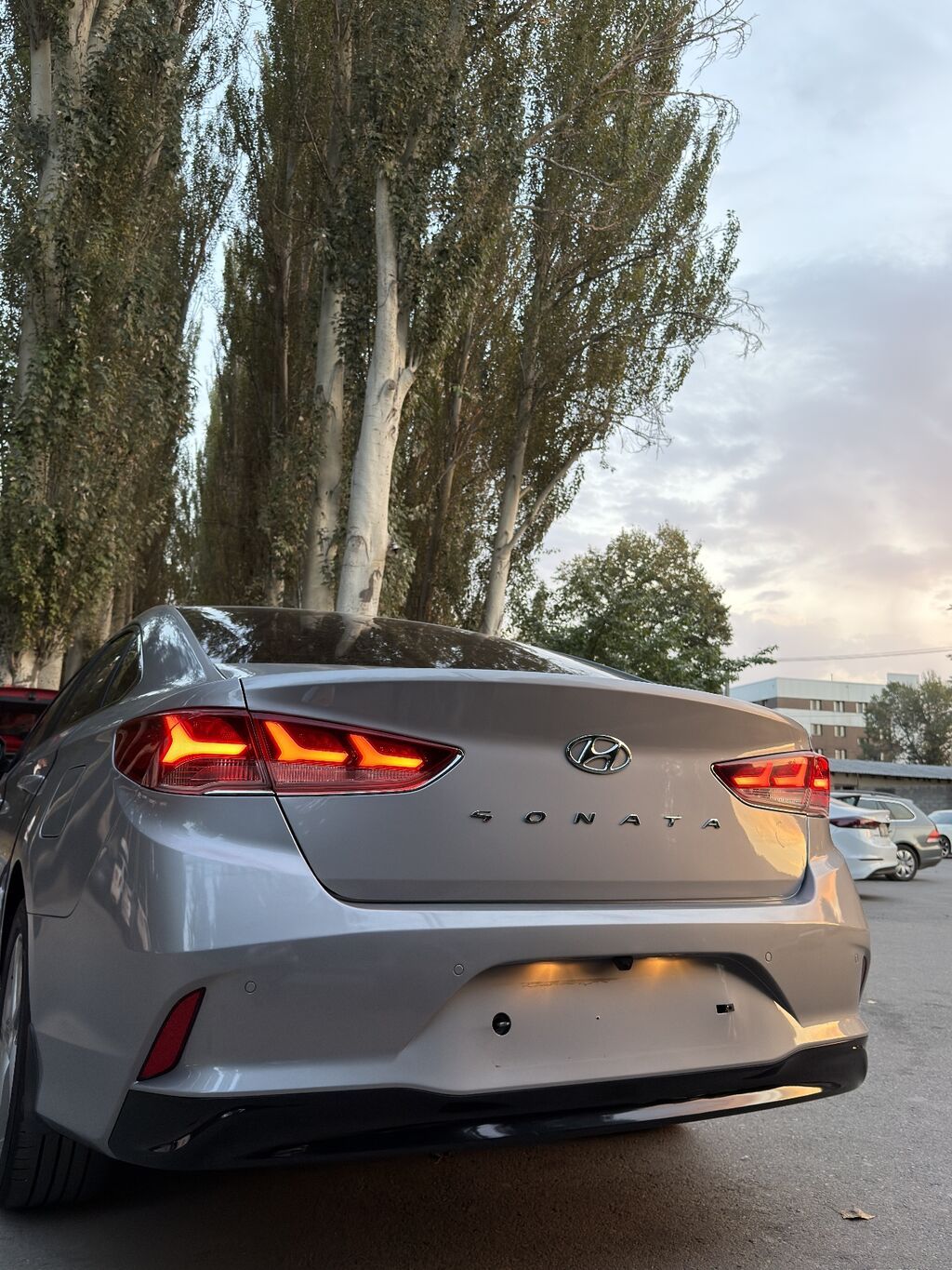 Hyundai Sonata: 2023 г., 2 л, Автомат, Газ, Седан: фото 6