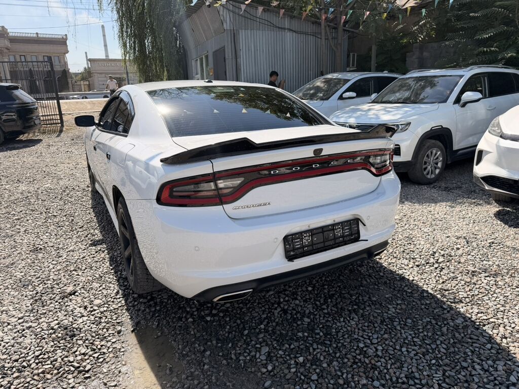 Dodge Зарядник: 2019 г., 3.6 л, Седан: фото 4