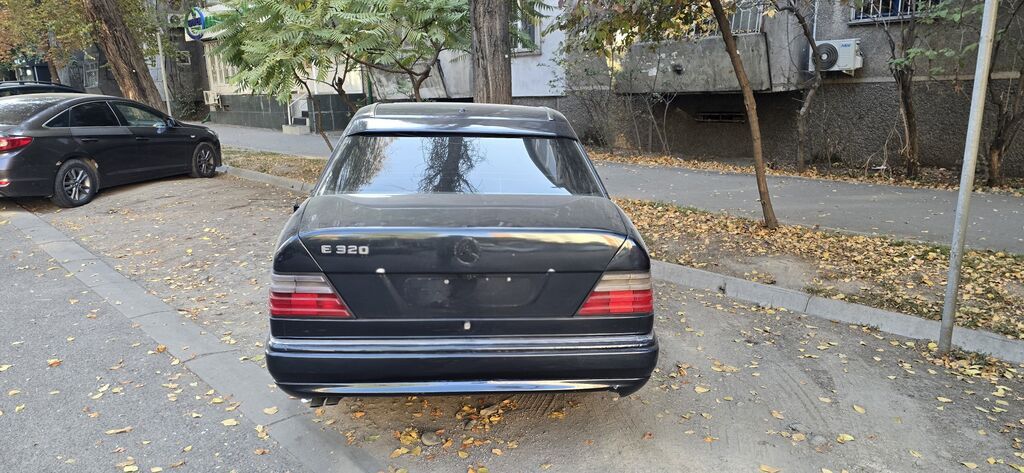 Mercedes-Benz W124: 1993 г., 3.2 л, Автомат, Бензин, Седан: фото 1