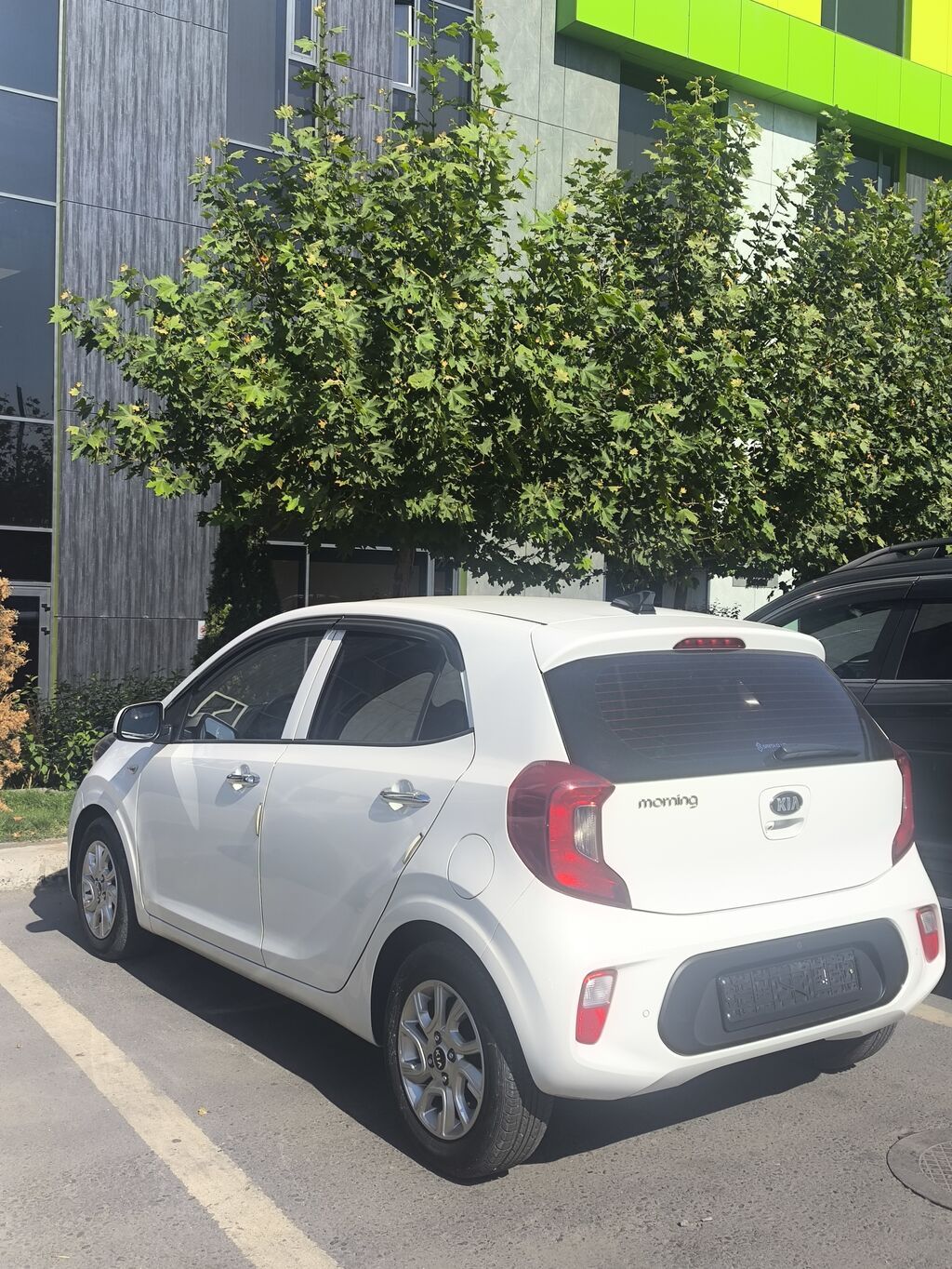 Kia Picanto: 2019 г., 1 л, Автомат, Бензин, Хэтчбэк: фото 6