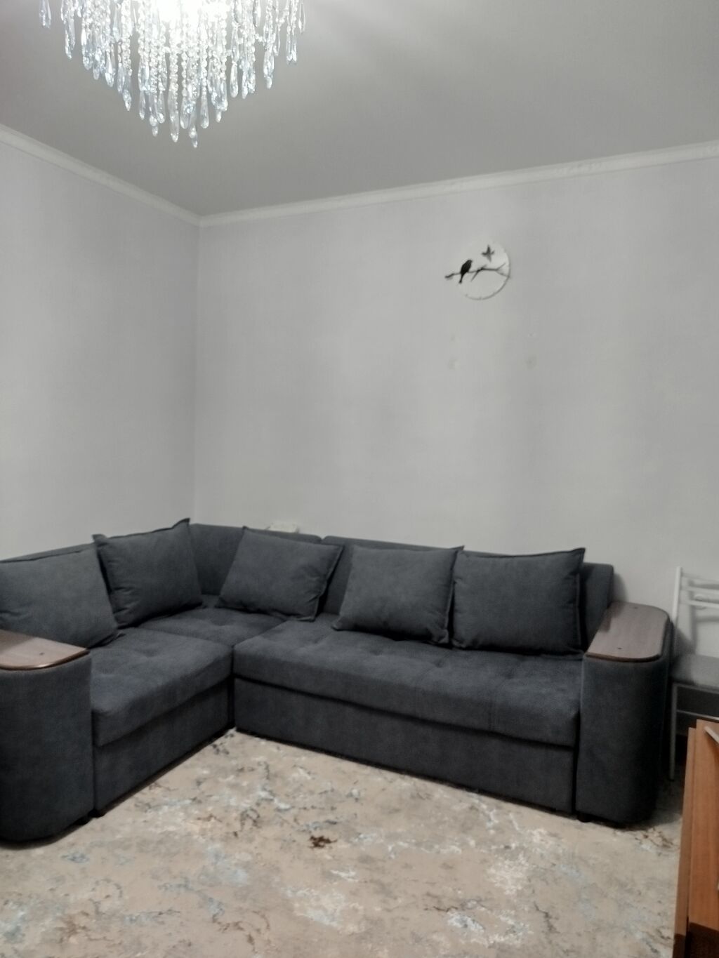 2 комнаты, 45 м², 1 соток, Пишпек Газ, Электричество, Канализация: фото 2