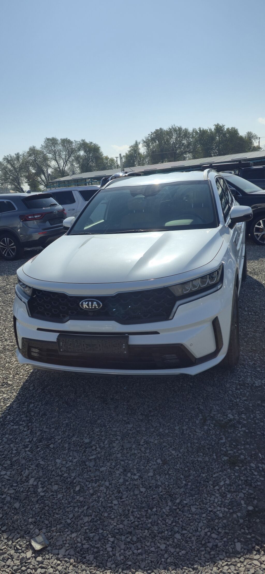 Kia Sorento: 2020 г., Кроссовер: фото 1
