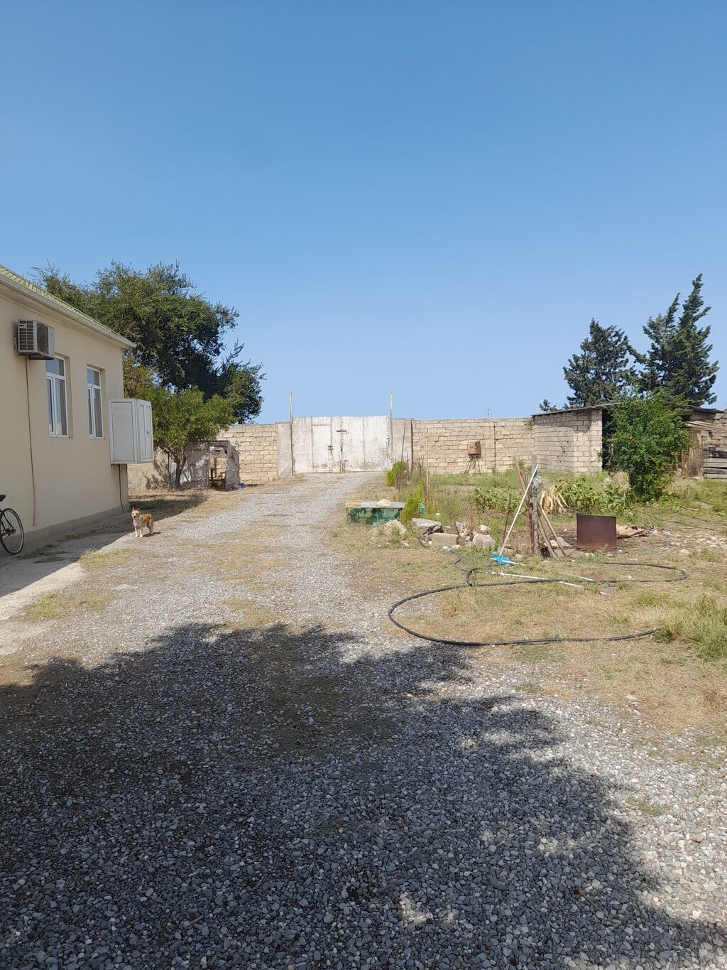 135 sot, Biznes üçün, Kupça (Çıxarış)