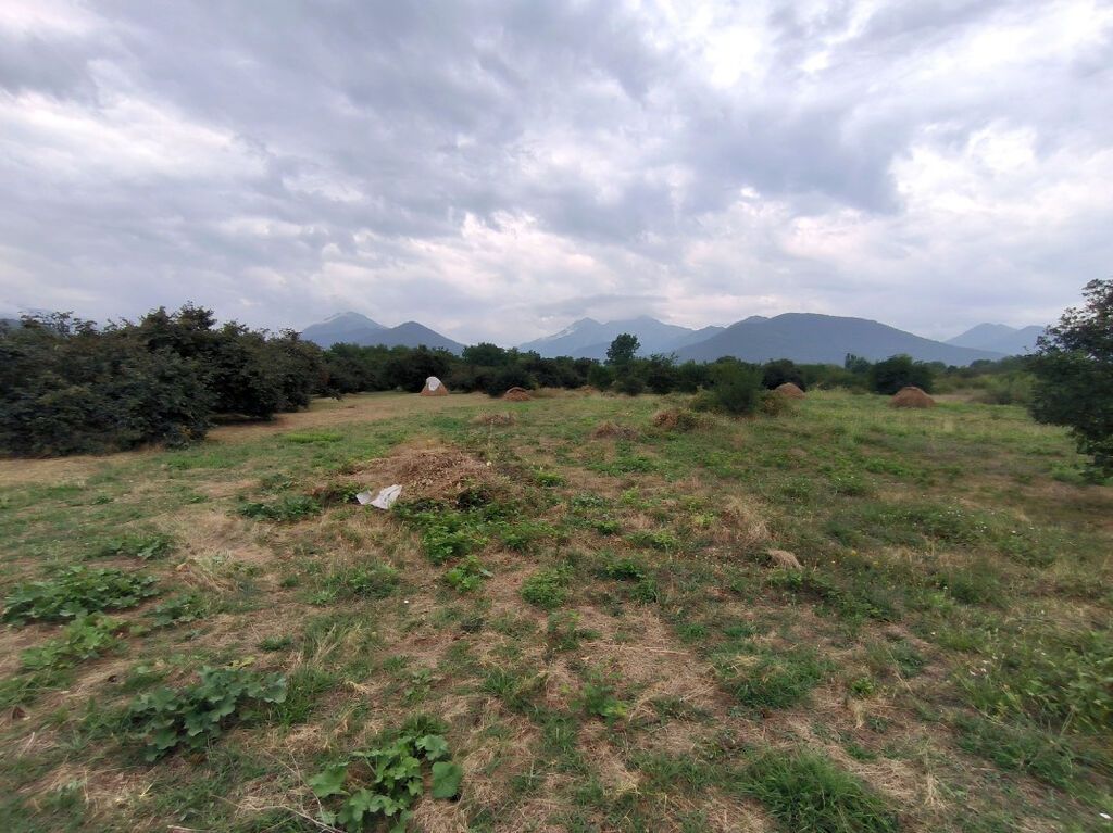 250 sot, Tikinti, Mülkiyyətçi, Kupça (Çıxarış)