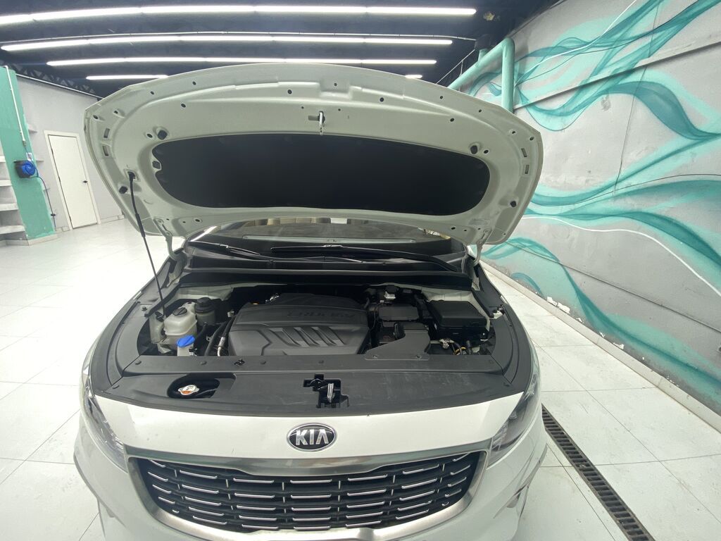 Kia Carnival: 2019 г., 2.2 л, Автомат, Дизель, Минивэн: фото 4