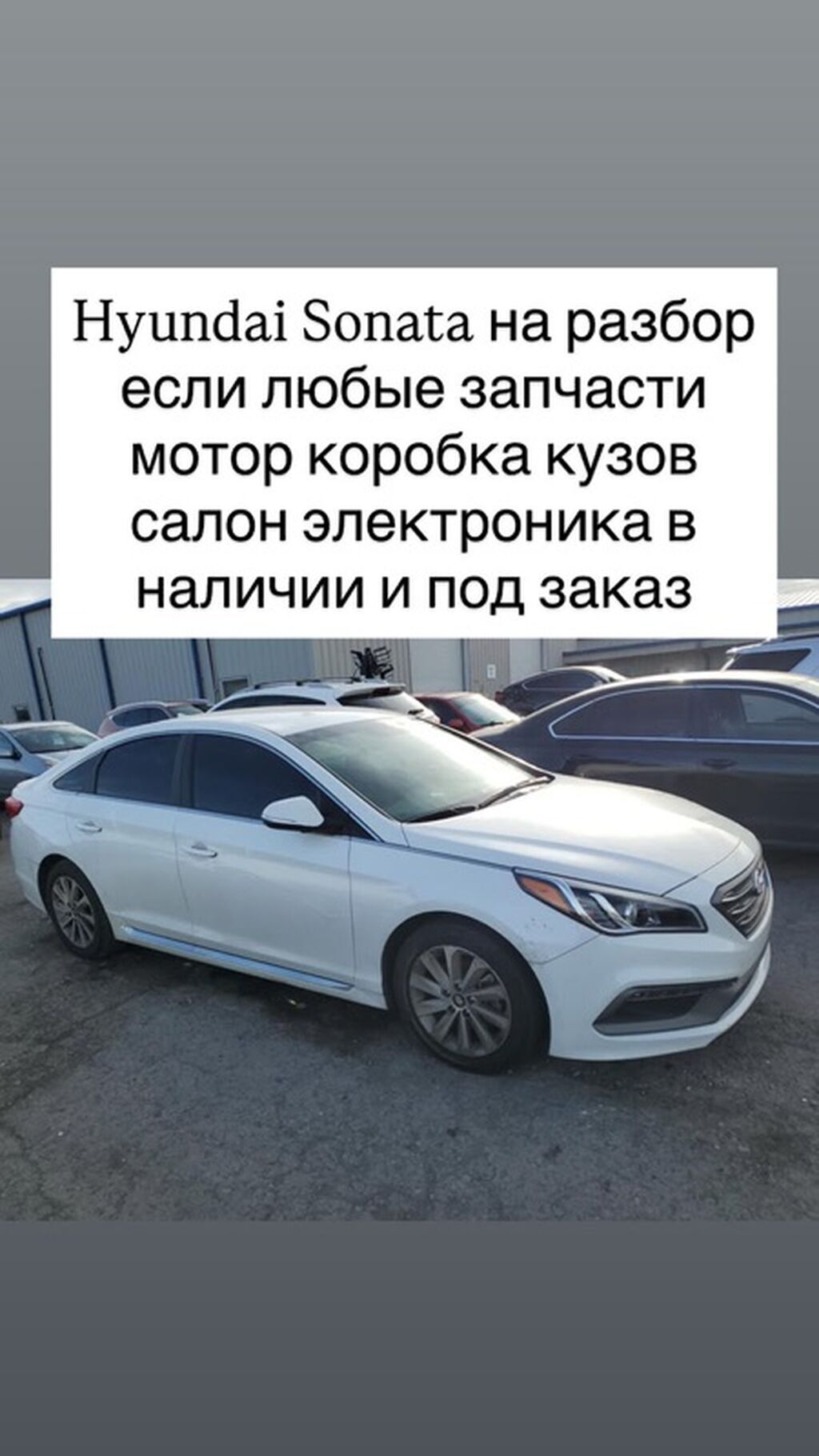 Hyundai Sonata: 2017 г.: фото 2