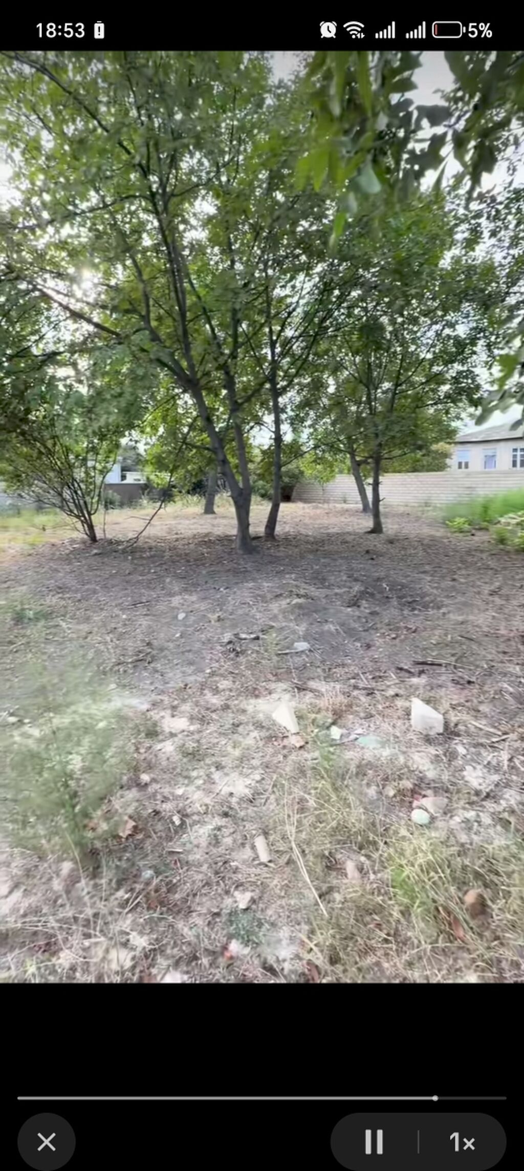 10 sot, Tikinti, Barter mümkündür, Kupça (Çıxarış)