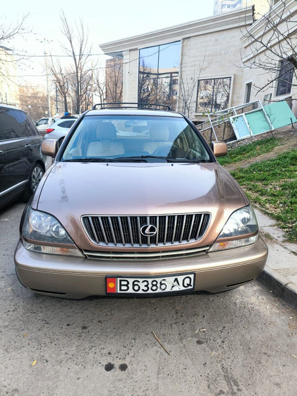 Lexus RX: 1999 г., 3 л, Автомат, Бензин, Кроссовер: фото 4