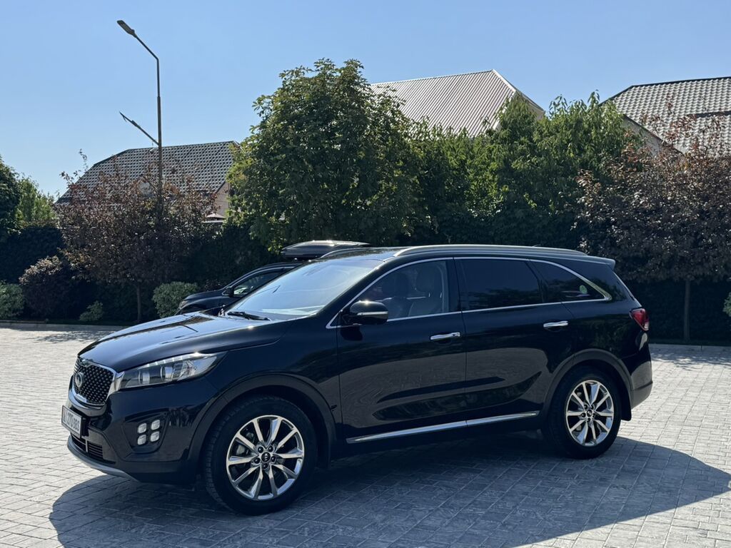 Kia Sorento: 2017 г., 2 л, Автомат, Дизель, Кроссовер: фото 7