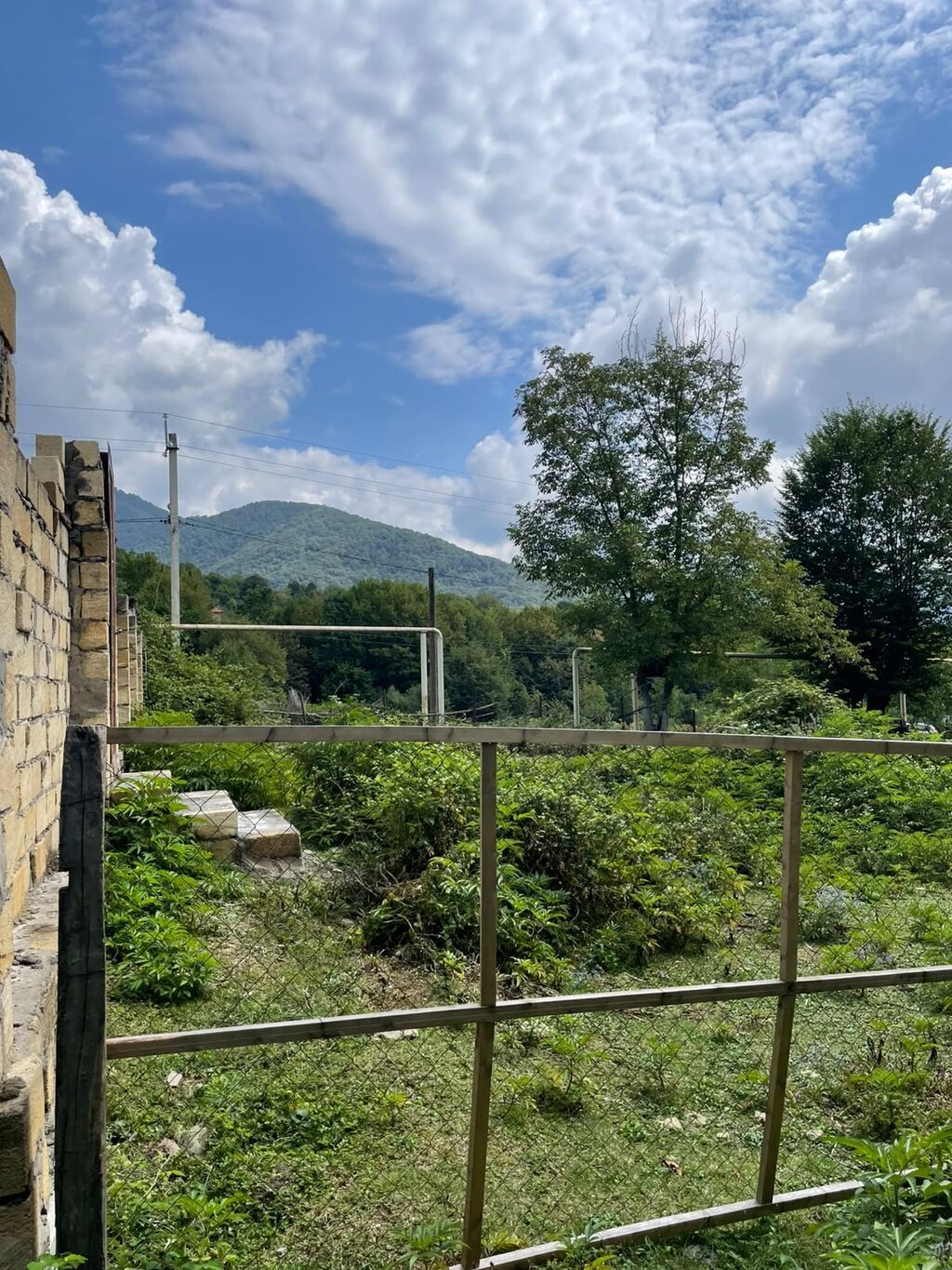 11 sot, Tikinti, Mülkiyyətçi, Kupça (Çıxarış)