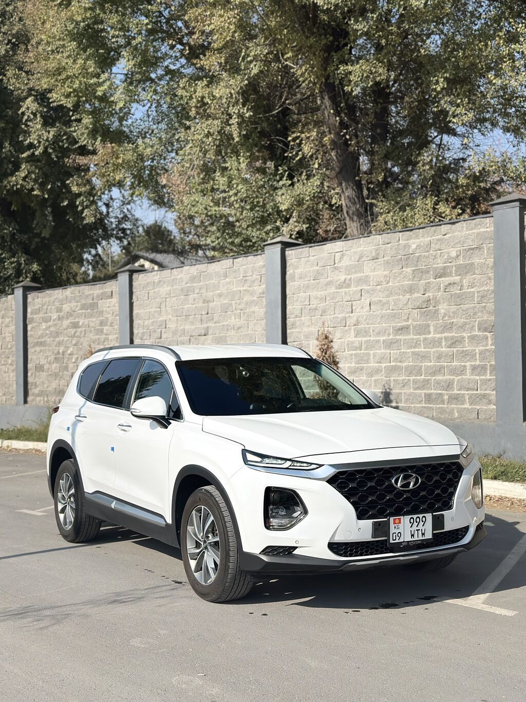 Hyundai Santa Fe: 2019 г., 2 л, Автомат, Дизель, Кроссовер: фото 3