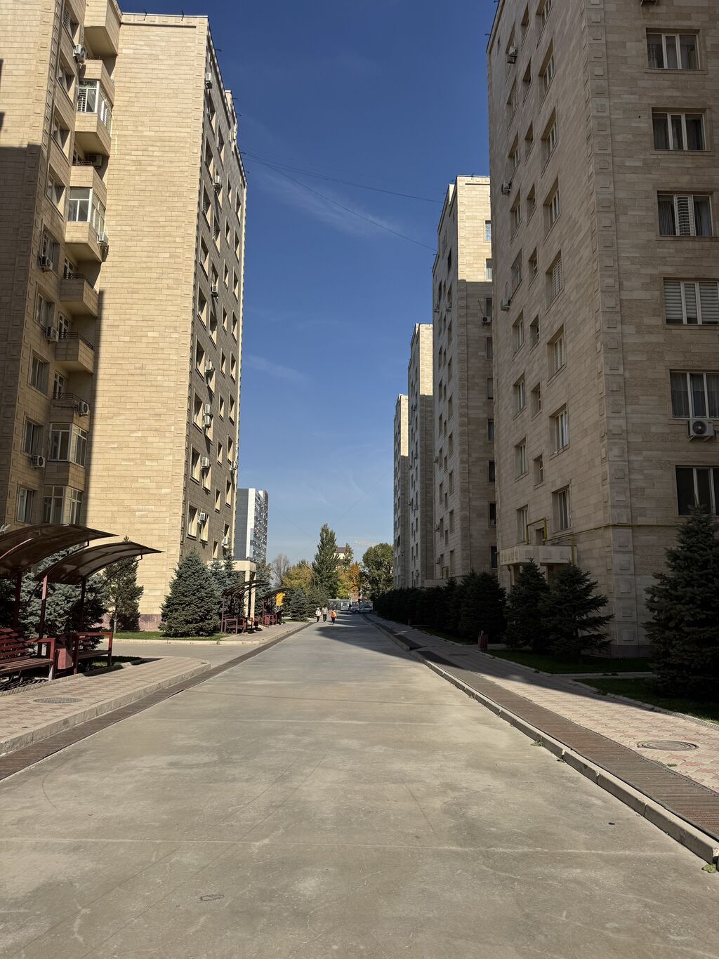 1 комната, 48 м², Тунгуч мкр Элитка, 3 этаж, Евроремонт: фото 2