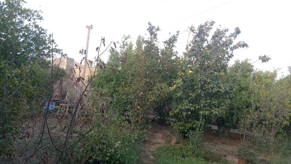Satılır: həyəti olan fərdi yaşayış evi - Torpaq sahəsi: həyətyanı bağ