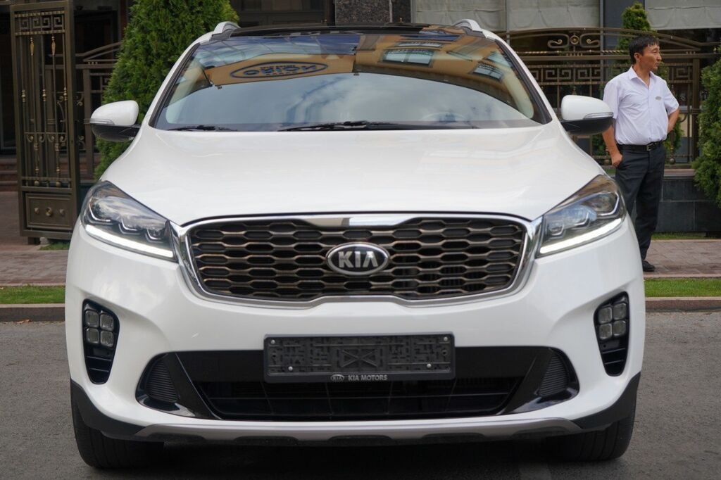 Kia Sorento: 2019 г., 2 л, Автомат, Дизель, Кроссовер: фото 1