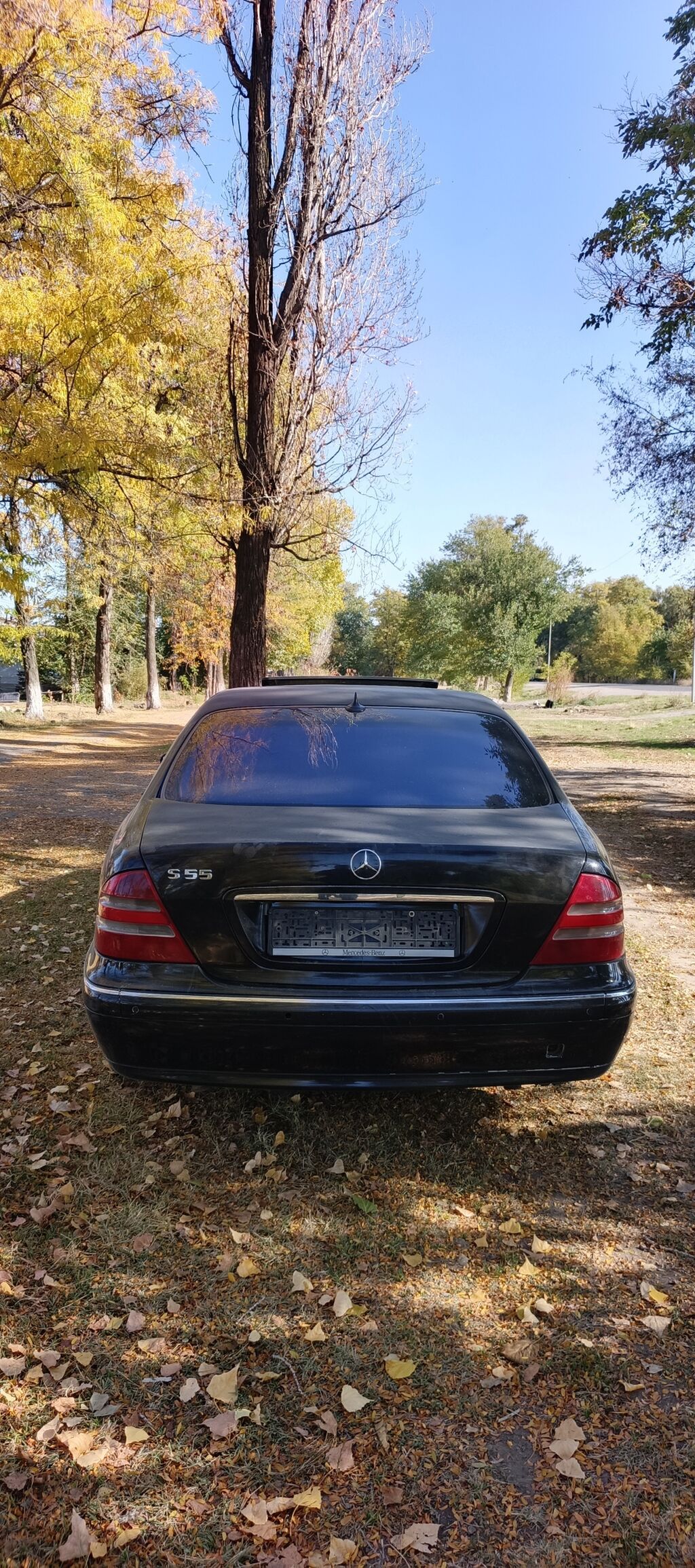 Mercedes-Benz S-Class: 2000 г., Автомат, Седан: фото 4