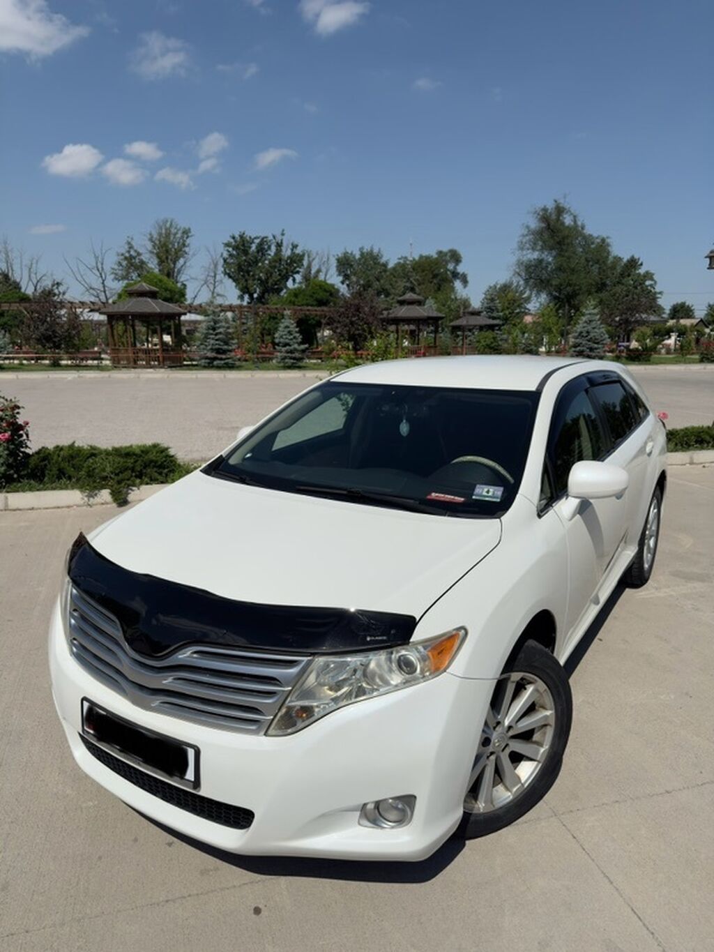 Toyota Venza: 2009 г.: фото 3