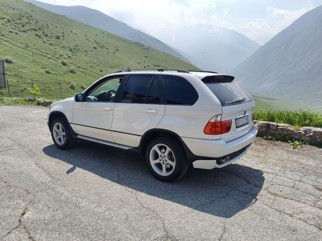 BMW X5: 2004 г., 3 л, Автомат, Бензин: фото 4