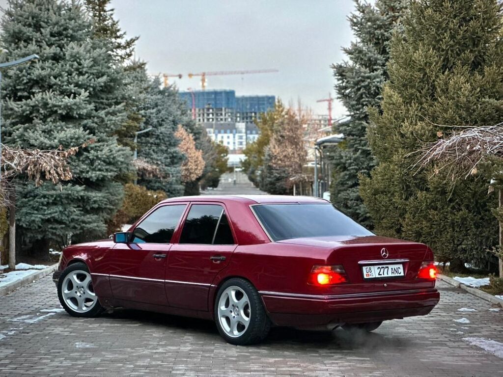 Фото 3