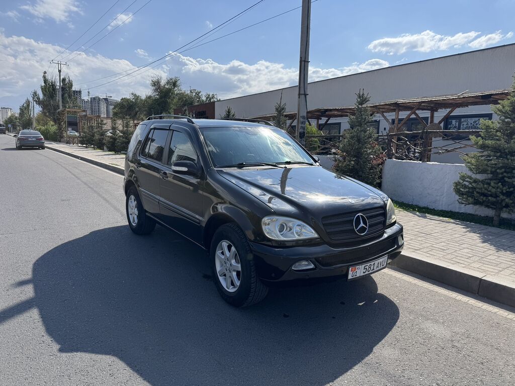 Mercedes-Benz M-Class: 2004 г., 3.7 л, Автомат, Газ, Внедорожник: фото 4