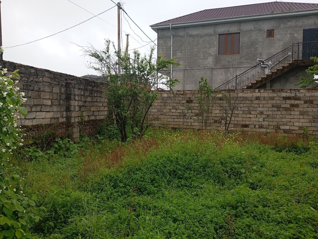 Tikinti, Kupça (Çıxarış)