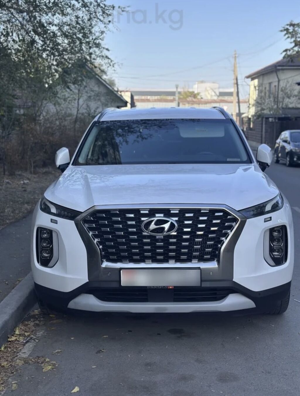 Hyundai Palisade: 2019 г., 2.2 л, Автомат, Дизель, Кроссовер: фото 1