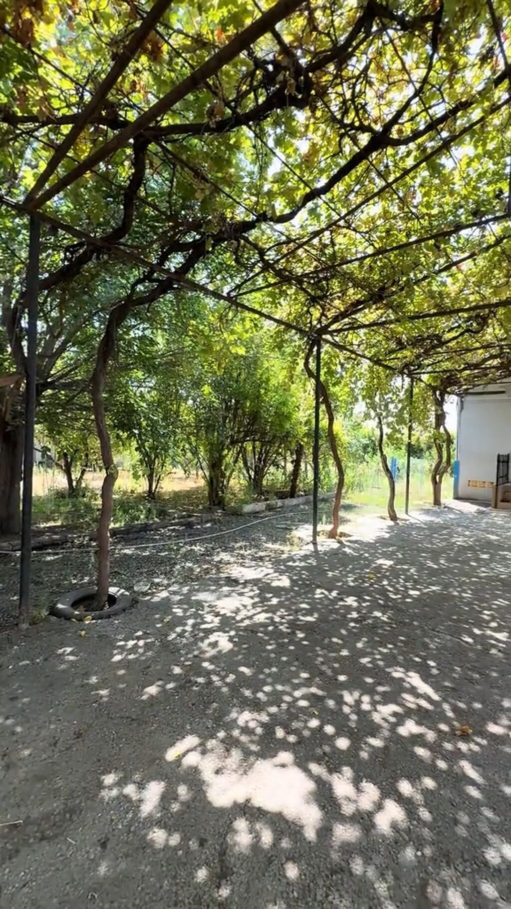 Bərdə rayonu güloğlularda ev satılır Təzə bazardan 500 metir