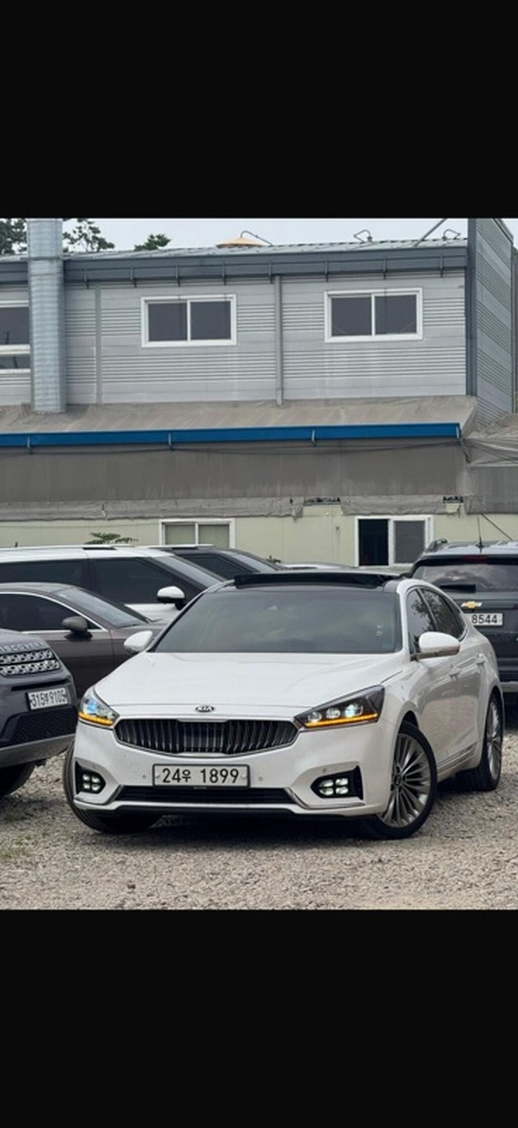 Kia Cadenza: 2019 г., 3 л, Типтроник, Газ, Седан: фото 2